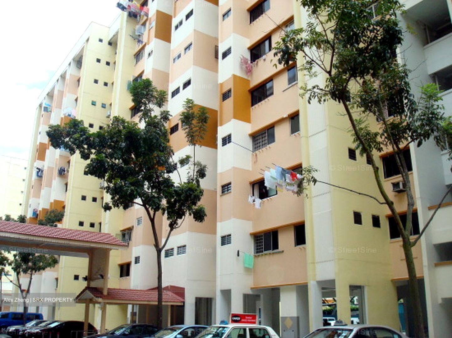 Blk 287 Ficus Vale (Yishun), HDB 3 Rooms #628772831